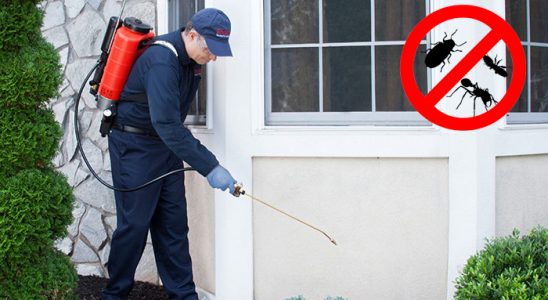 Çal Böcek İlaçlama böcek ilaçlama ve haşere kontrolü — ilaclama-tr.com